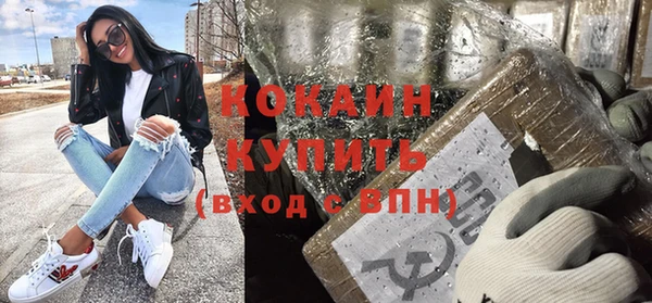 шишки Заводоуковск