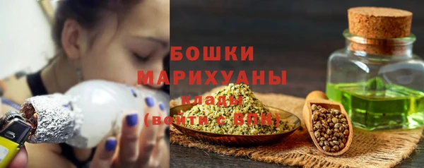 шишки Заводоуковск