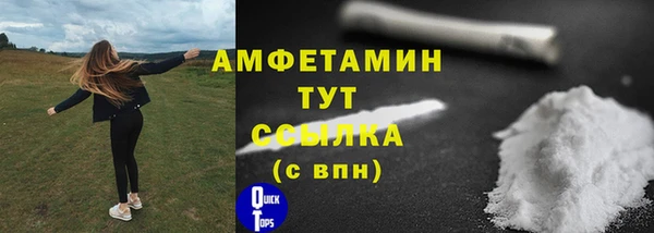 шишки Заводоуковск