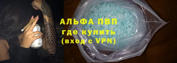 шишки Заводоуковск