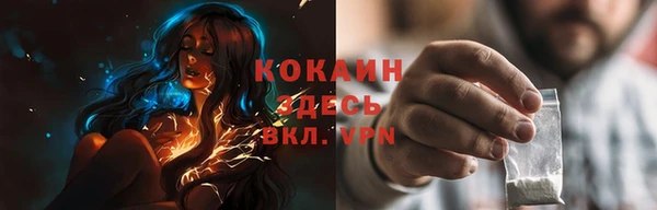 шишки Заводоуковск