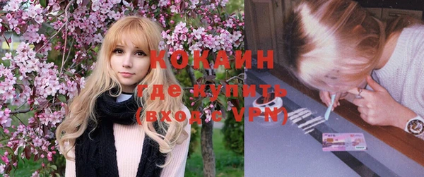 шишки Заводоуковск