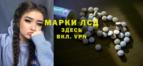 шишки Заводоуковск
