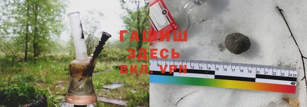 шишки Заводоуковск