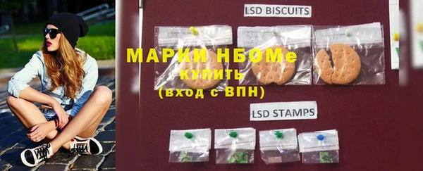 шишки Заводоуковск