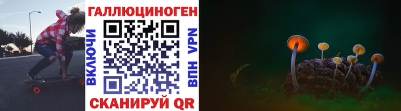 Галлюциногенные грибы Psilocybe  как найти наркотики  Сасово 
